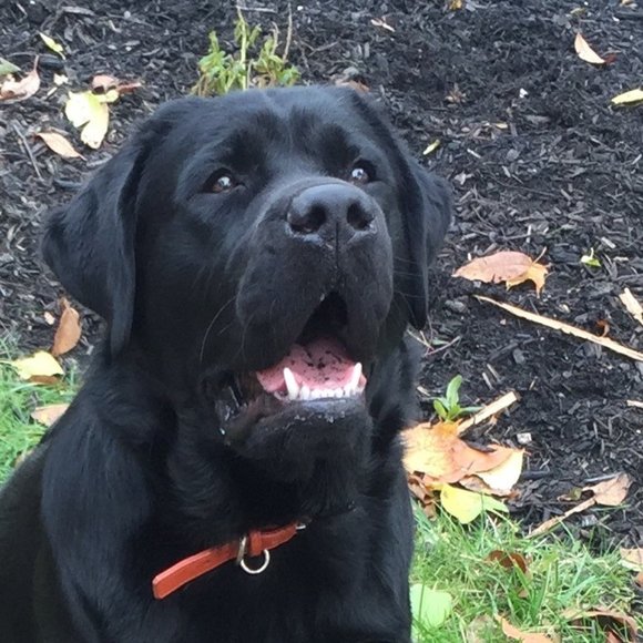 Meet your Posher, Eileen - Picture 2 of 2